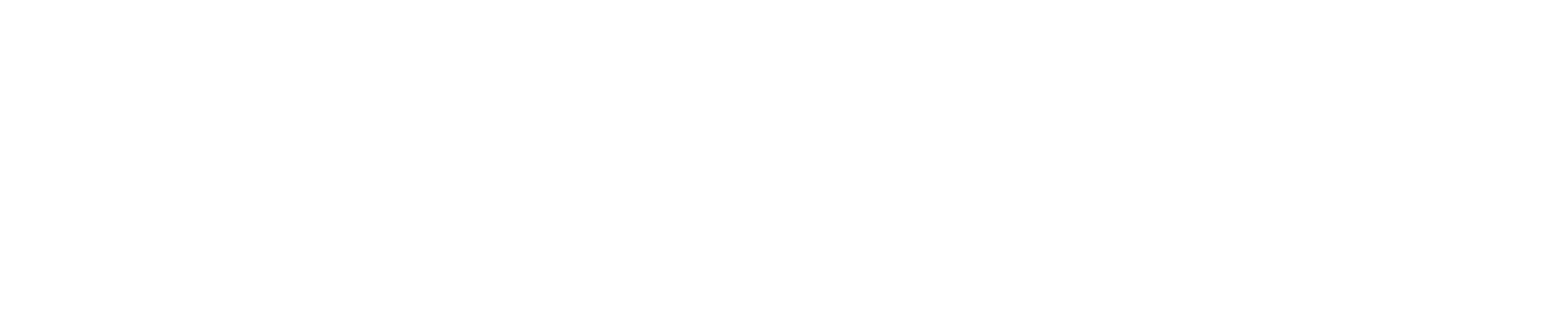 Noland Health Services logo