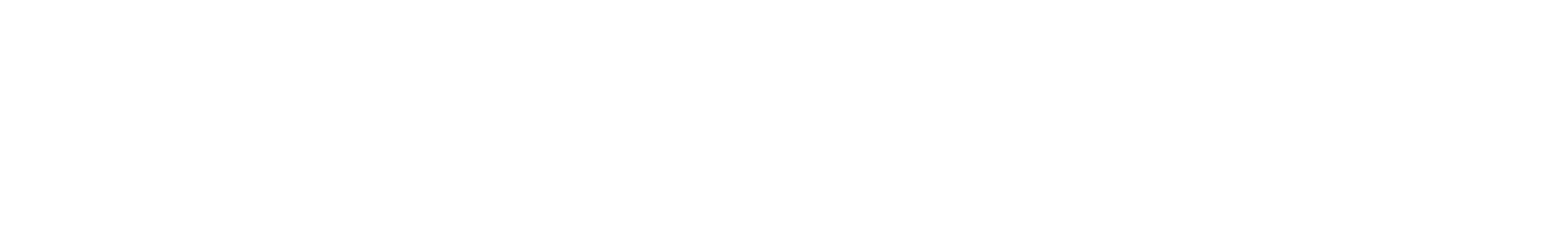 Trubridge logo